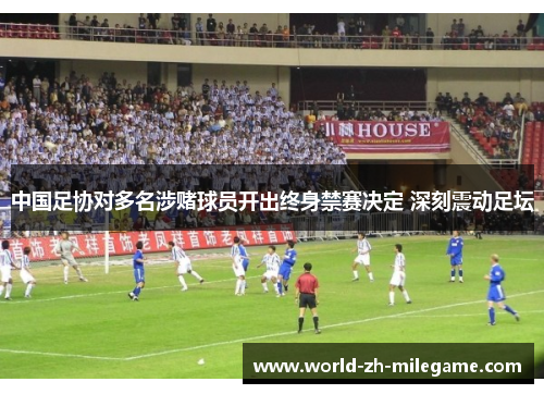 中国足协对多名涉赌球员开出终身禁赛决定 深刻震动足坛 中国足协对多名涉赌球员开出终身禁赛决定 深刻震动足坛